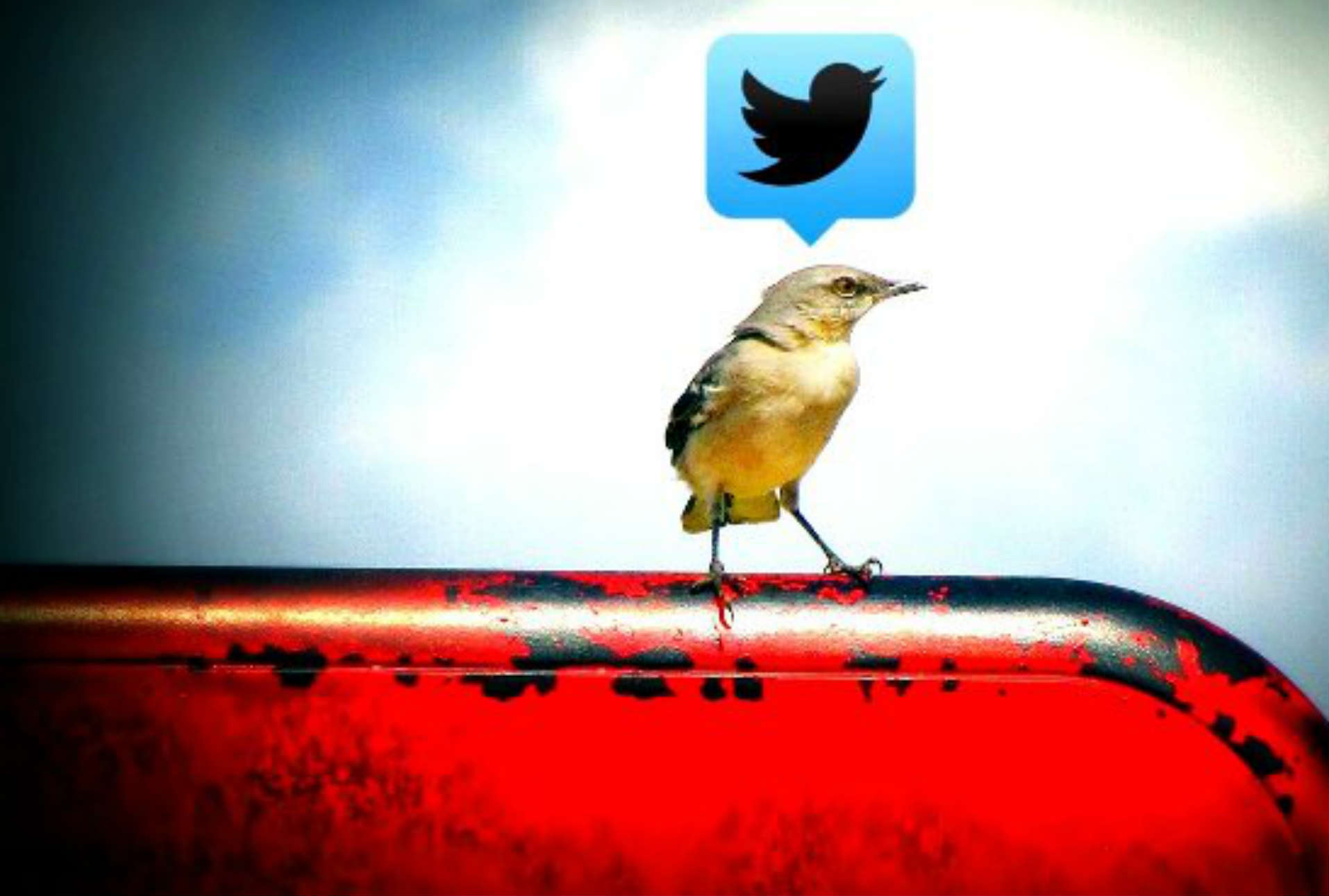 Twitter ve un aumento global de peticiones para retirar contenido de sus redes