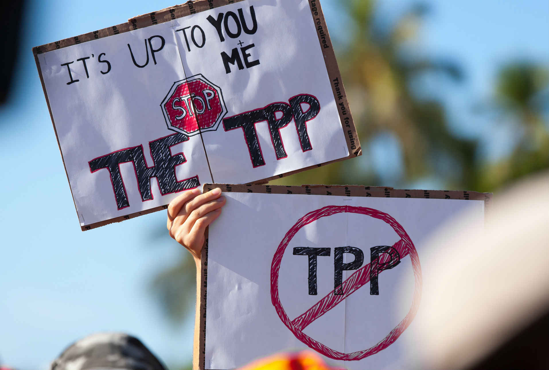 Reporte: Impactos e implicaciones del TPP en México