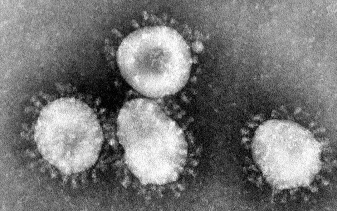 La ciencia abierta ha sido crucial en la lucha contra el nuevo coronavirus