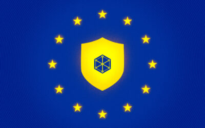 Participa R3D en la elaboración y lanzamiento de los “Principios de Derechos Humanos para la Aplicación de la Ley de Servicios Digitales: Una Perspectiva Global” 