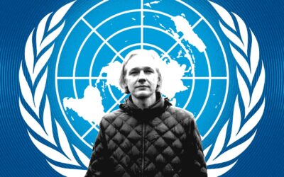 Relatora Especial de ONU para libertad de expresión pide poner fin a la persecución de Julian Assange