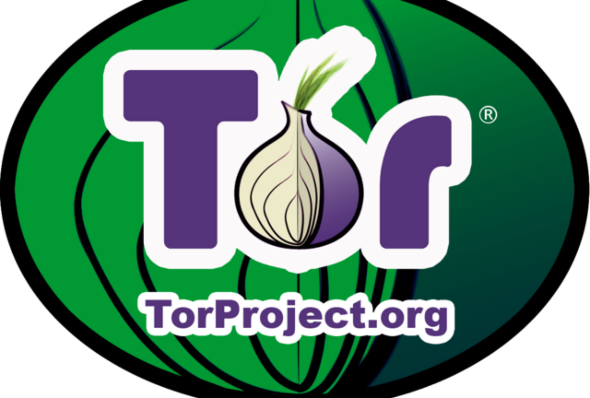 Dos millones de usuarios de Internet usan diariamente Tor: ¿en qué países?