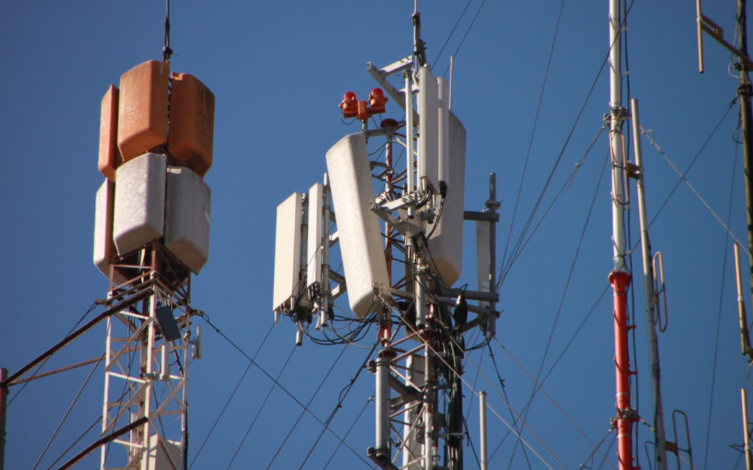 Las #GolondrinasEnElAlambre del gobierno federal: Torres falsas de telefonía para recolectar información de personas