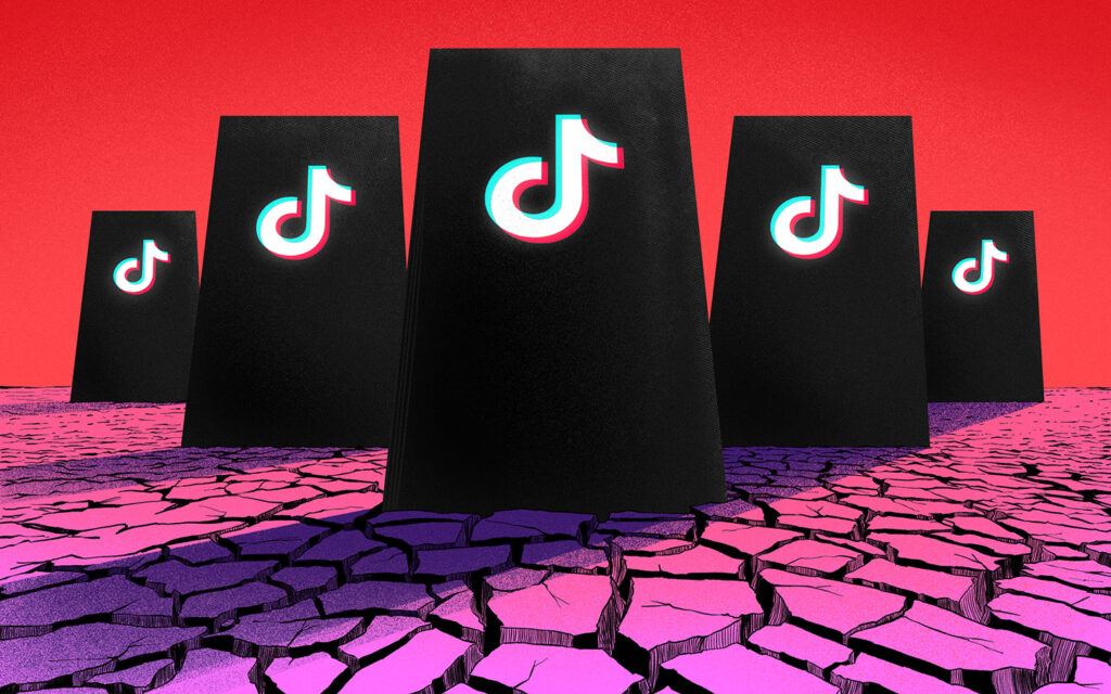 Tiktok saca provecho de la falta de regulaciones ambientales en Brasil para abrir un centro de datos
