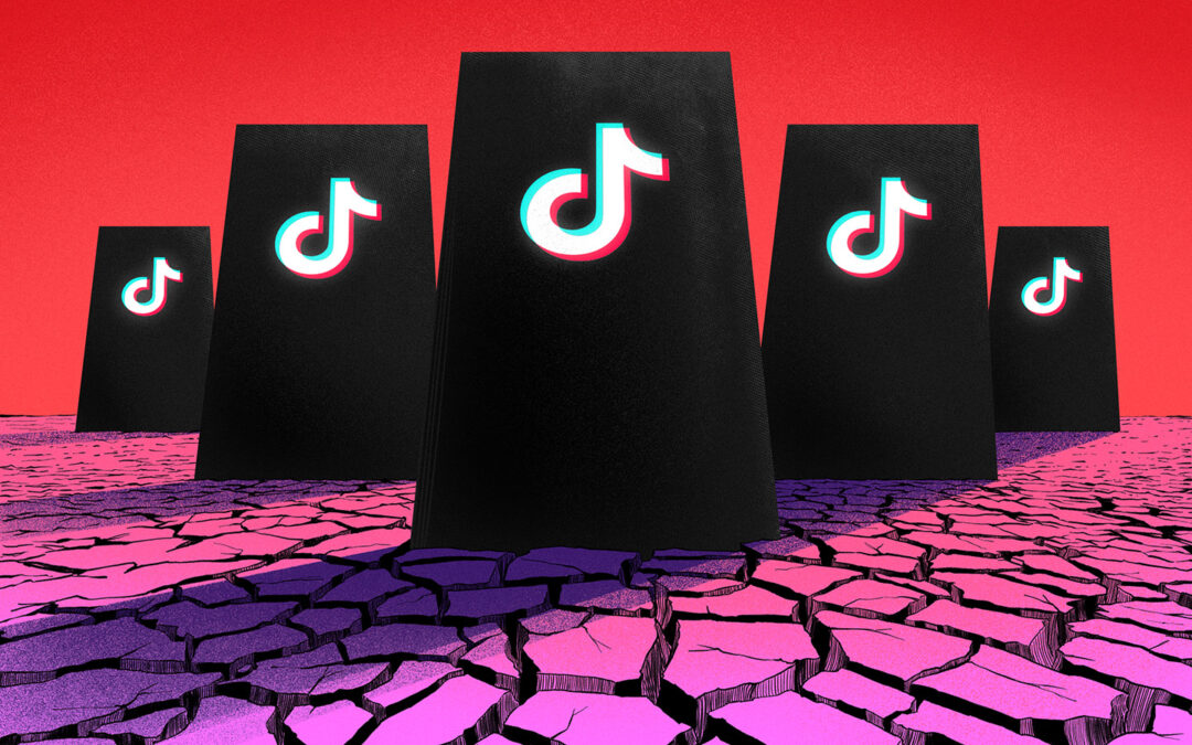 Tiktok saca provecho de la falta de regulaciones ambientales en Brasil para abrir un centro de datos