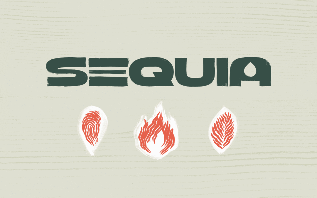 R3D presenta SequIA, un repositorio para comprender el impacto ambiental de los centros de datos y la inteligencia artificial