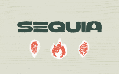 R3D presenta SequIA, un repositorio para comprender el impacto ambiental de los centros de datos y la inteligencia artificial